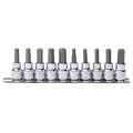 Socket Rail 3/8Dr Inhex Metric/Sae 10Pc