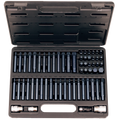 Bit Set - Professional 3/8" & 1/2"Dr - 60Pc Set