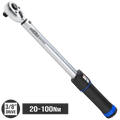 MEASURING - TORQUE WRENCH 3/8"DR 20-100NM - SP Tools T835261